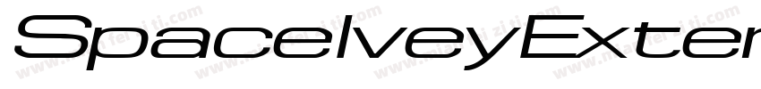 SpaceIveyExtended Italic字体转换